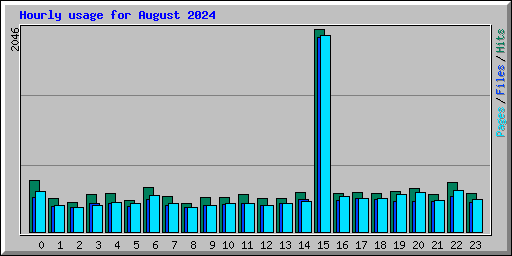 Hourly usage for August 2024