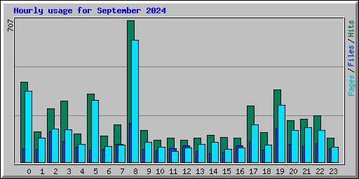 Hourly usage for September 2024