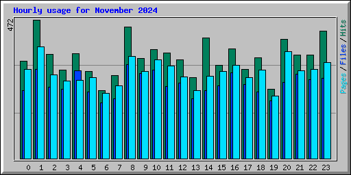 Hourly usage for November 2024