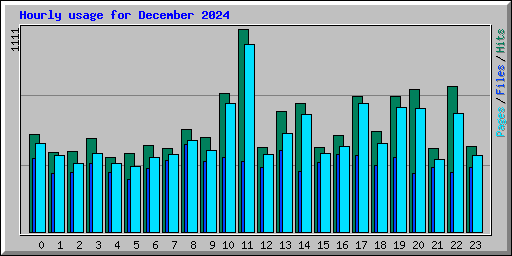 Hourly usage for December 2024