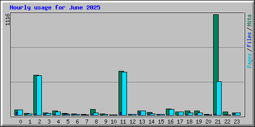Hourly usage for June 2025
