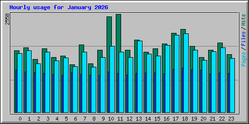 Hourly usage for January 2026