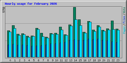 Hourly usage for February 2026
