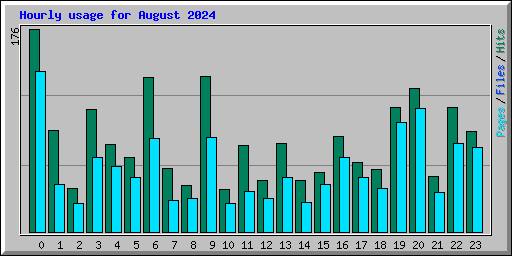 Hourly usage for August 2024