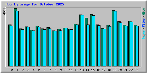 Hourly usage for October 2025