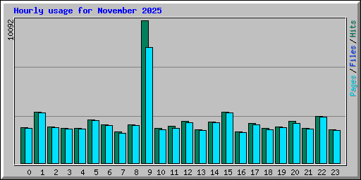 Hourly usage for November 2025