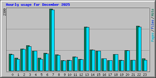 Hourly usage for December 2025