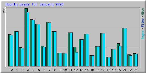 Hourly usage for January 2026