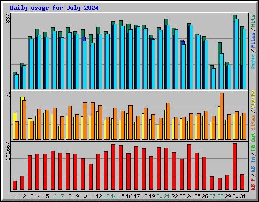 Daily usage for July 2024