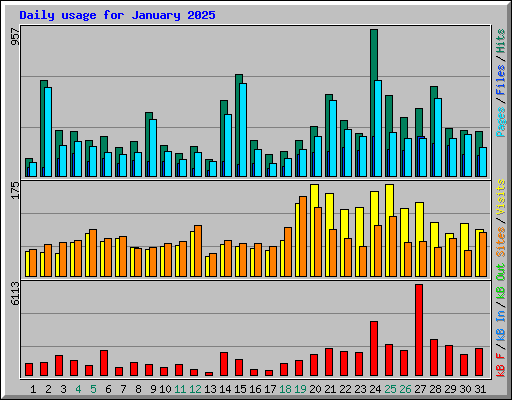 Daily usage for January 2025