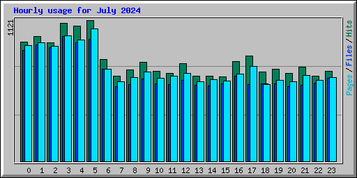 Hourly usage for July 2024