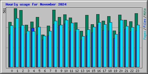 Hourly usage for November 2024