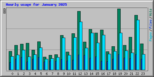 Hourly usage for January 2025