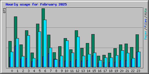 Hourly usage for February 2025