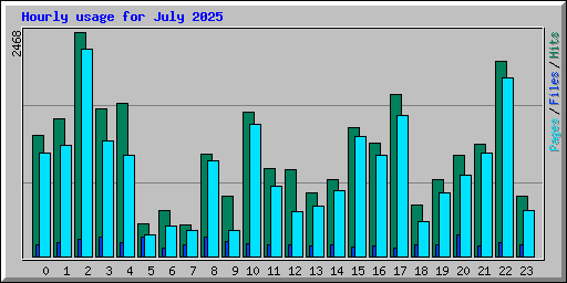 Hourly usage for July 2025