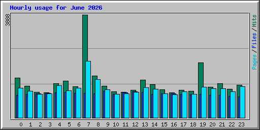 Hourly usage for June 2026