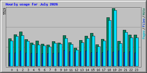 Hourly usage for July 2026