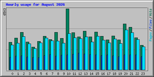 Hourly usage for August 2026