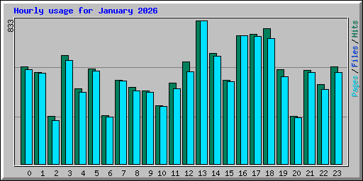 Hourly usage for January 2026