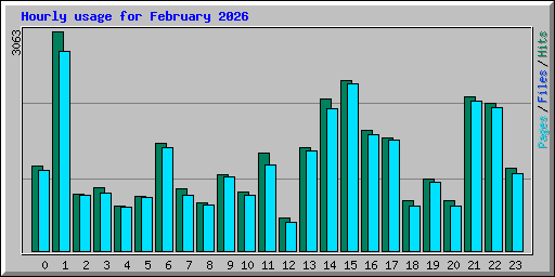 Hourly usage for February 2026
